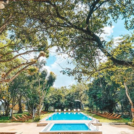 Nivadoo Resort Sigiriya Exteriér fotografie The swimming pool at the hotel